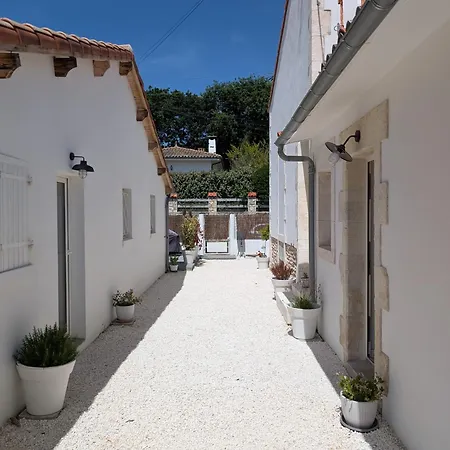 Renove A Quelques Pas De La رويا